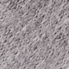 grey frost 41C