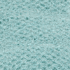 robin's egg 425C